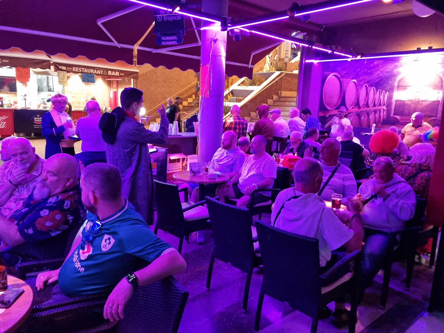 Hummel-Hummel photo 2