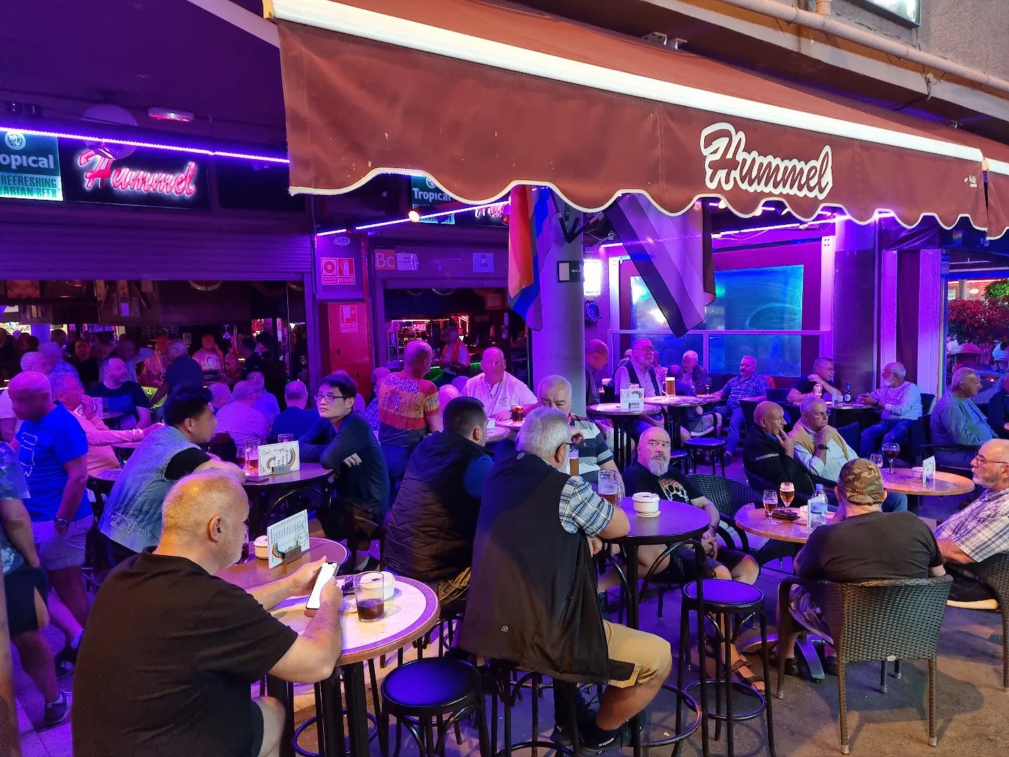 Hummel-Hummel photo 3