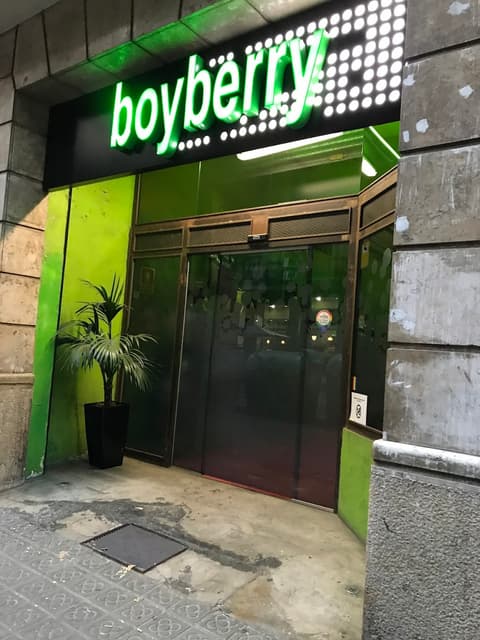 Boyberry Barcelona photo 2