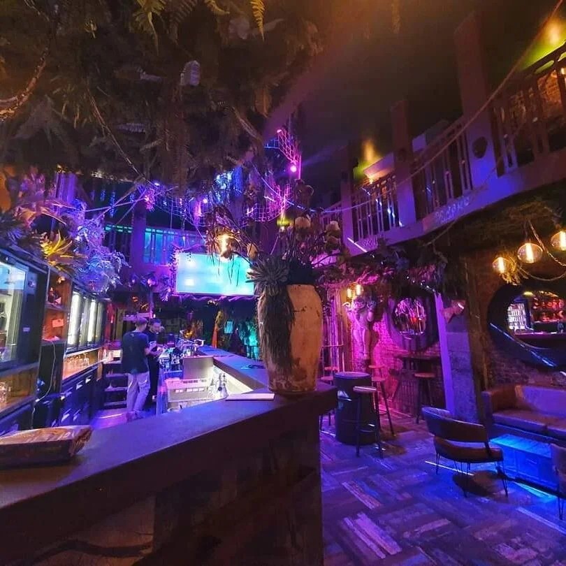 Jungle Bar photo 2