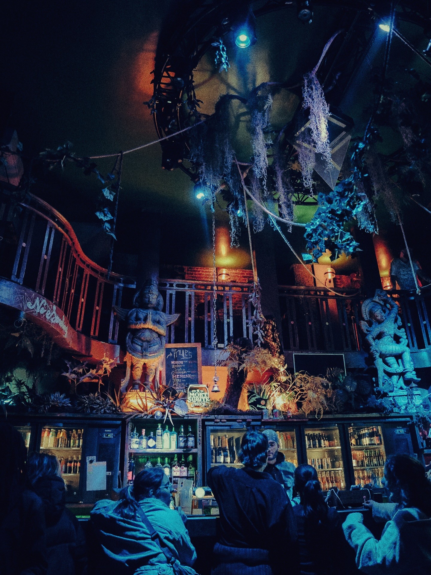 Jungle Bar photo 3
